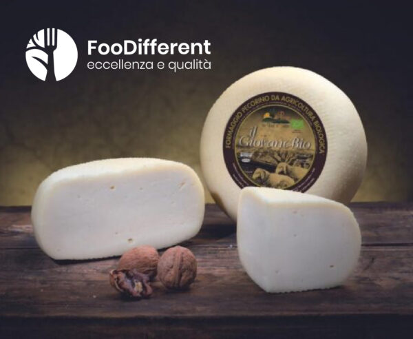 PECORINO BIOLOGICO FRESCO intero da 1,6 kg azienda agricola Il Poggio